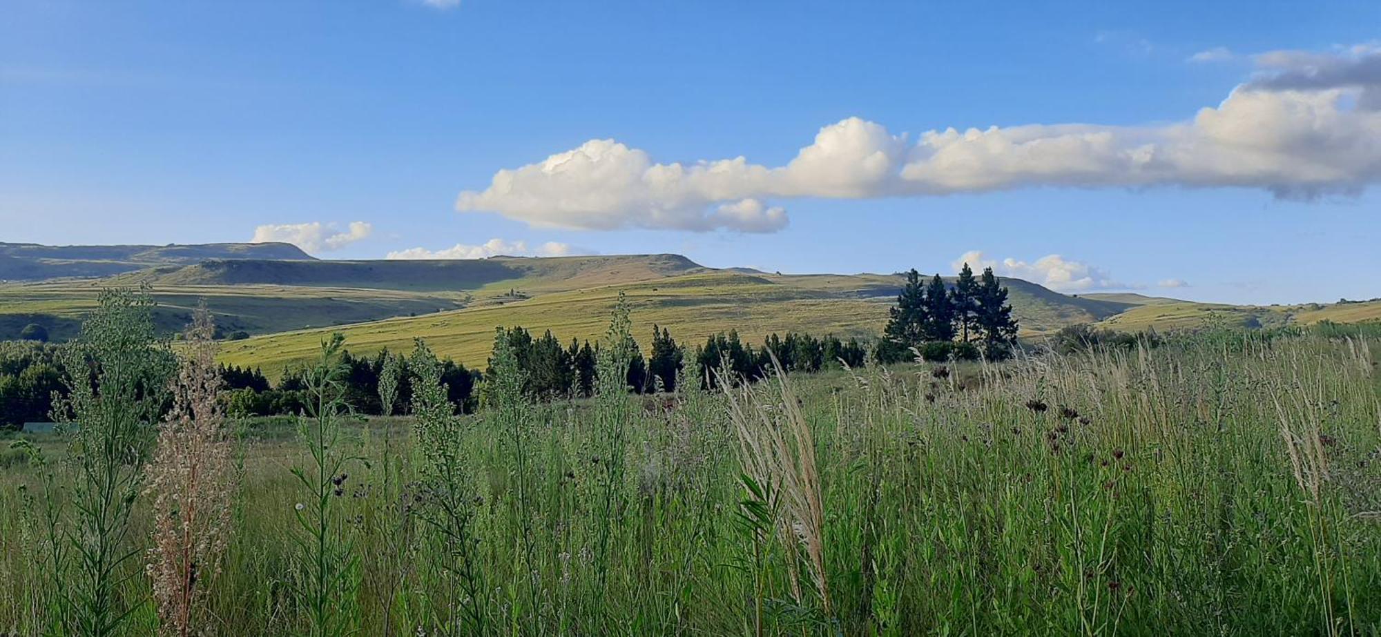 Schaefers' Halt Dullstroom Exterior foto