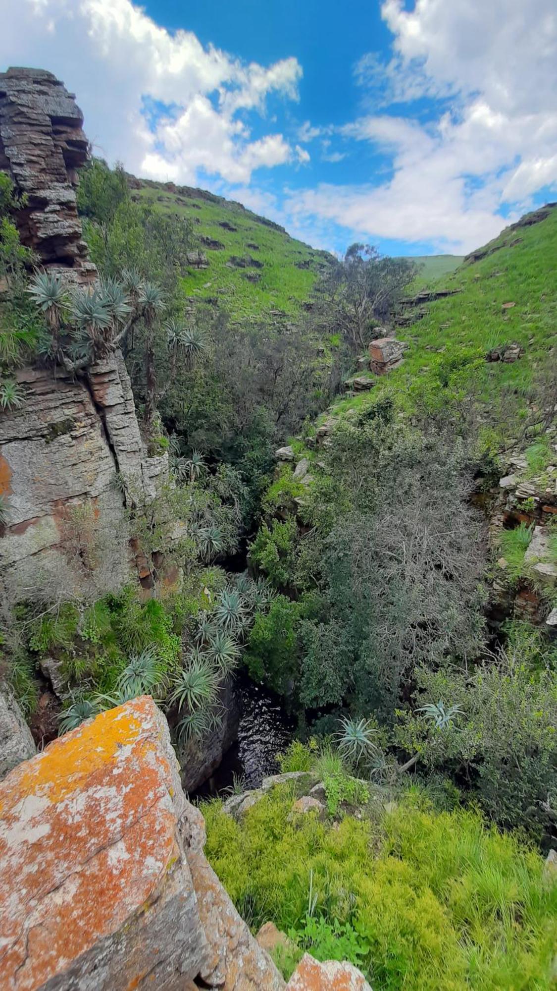 Schaefers' Halt Dullstroom Exterior foto