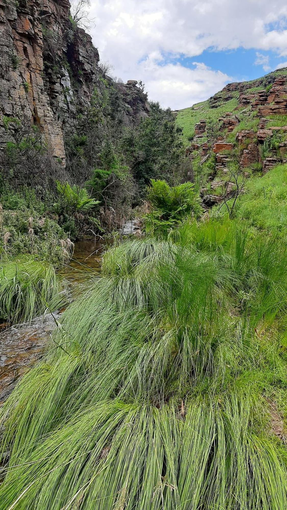 Schaefers' Halt Dullstroom Exterior foto